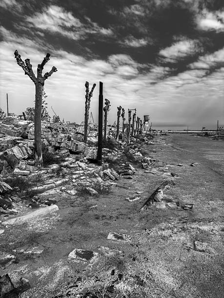 A somber, black and white scene of Villa Epecuén's ruins, depicting the desolate remnants of the town after it was submerged by floodwaters, leaving behind a haunting landscape of destroyed buildings and skeletal trees under a dramatic sky