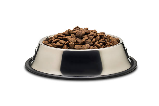 Metallic dog bowl with food