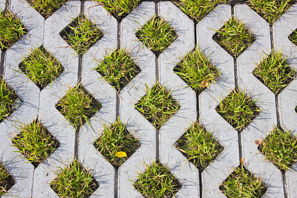 Eco pavement parking pavers