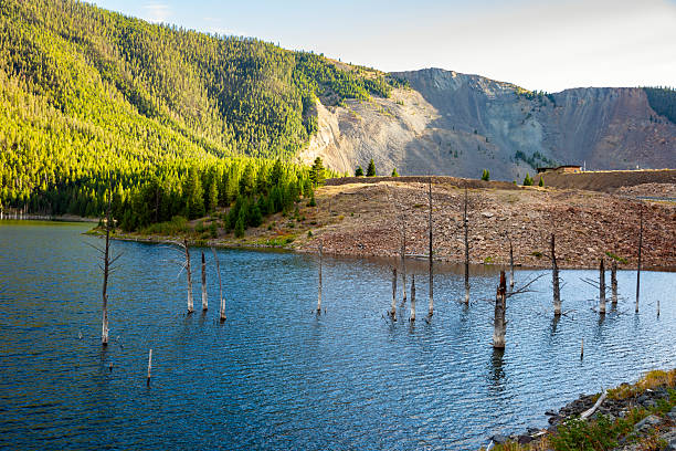 Medium format captured multi-shot stitched wide panoramic image representing deforestation against majestic landscape