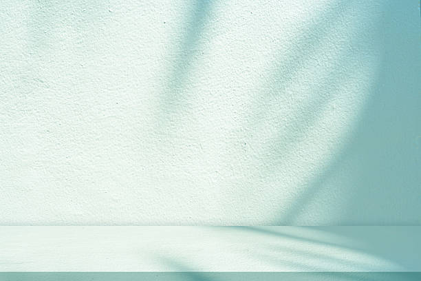 istock Green background.Minimal light mint green wall background with light,soft natural leaf shadows on floor,Backdrop Studio room for product display,branding mockup,organic design,modern aesthetic visual 2239859347