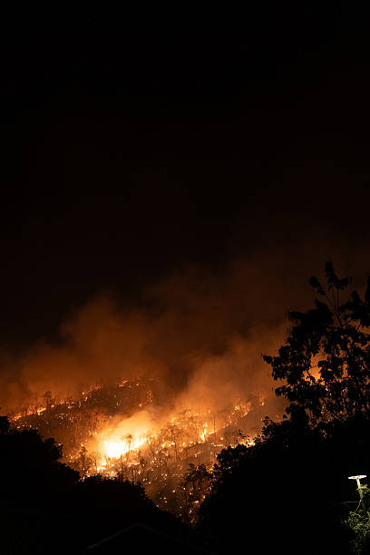 istock Mountain forest wildfire at night with burning trees 2239860796