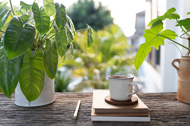 istock white coffee cup and stack of notebook and potted plant with balcony outdoor relaxing evening view 2239863336
