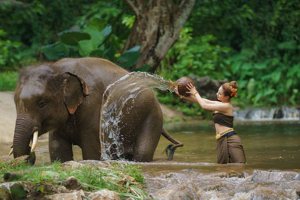 istock Happy female bathing elephant by the river. 2239864185