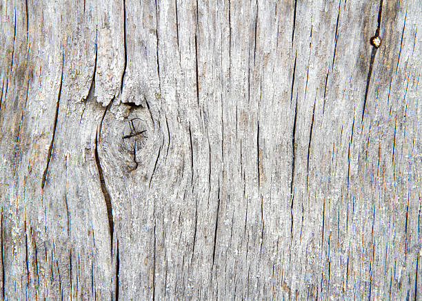 istock Grey texture of old wooden surface 2239871530