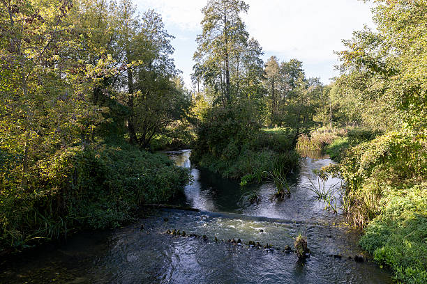 istock river in the autumn with trees during leaf fall, a bright autumn landscape with a river and trees on the shore in the autumn season 2239873856