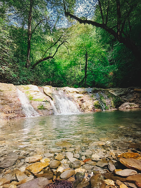 istock Clean mountain river with a rocky bottom in Sochi, Russia. 2239879507