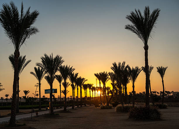 Marsa Alam, Egypt - july 17.2025. A vivid sunset scene with silhouetted palm trees framing the sun over a tranquil lagoon and resort. Editorial use