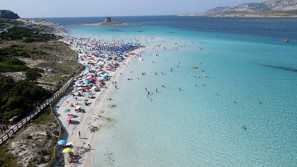 istock Stintino - La Pslosa beach 2239887022