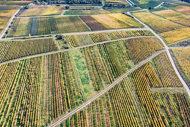 istock Autumn impressions from the Rheingau 2239887547