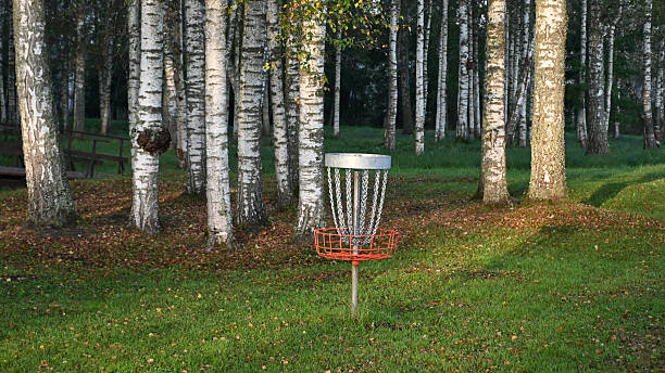 istock early autumn morning in a birch grove, sun rays illuminate the tree trunks, disc golf baskets between the trees, blurred background 2239888895