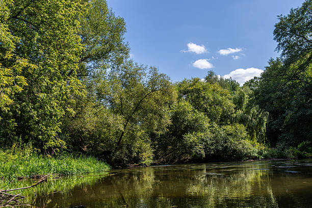 istock Serene river surrounded by lush green trees and clear blue sky in a peaceful natural setting during midday 2239895947