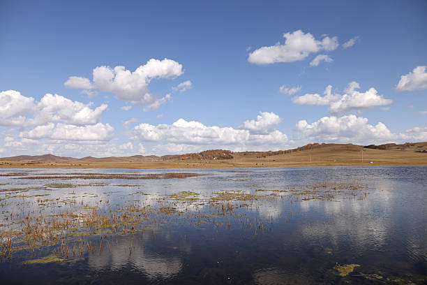 Autumn grassland lake reflection