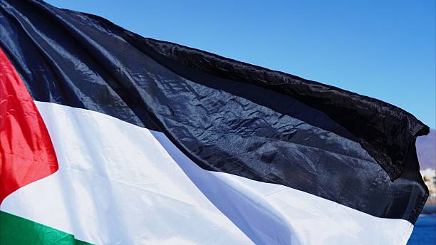 istock Palestinian flag flying in the wind on a sunny day 2239898822