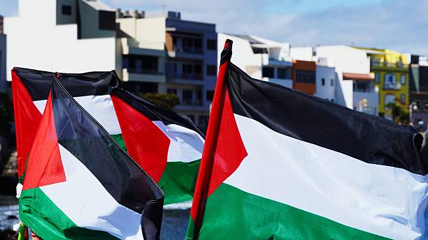 istock Palestinian flags waving during protest for humanitarian aid 2239898823