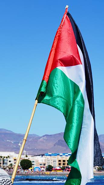 istock Palestinian flag flying for freedom and human rights 2239898861