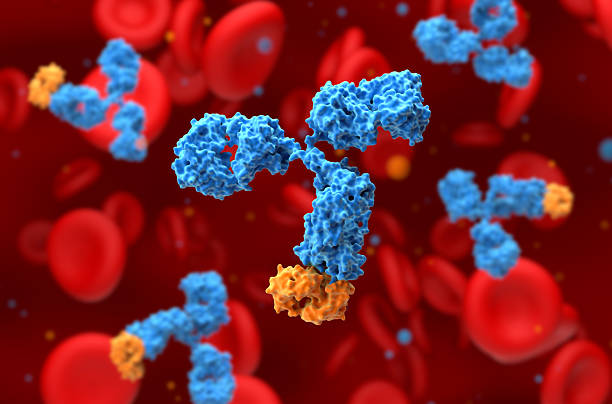 Monoclonal antibody (mAb) therapy - 3d illustration closeup view stock photo