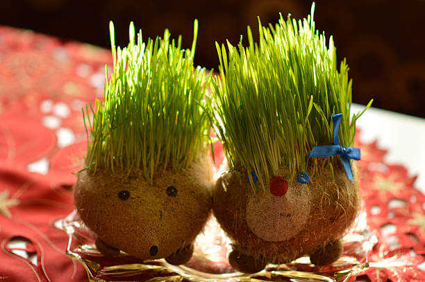 istock Christmas wheat decorated in a shape of cute hedgehogs 2239903318