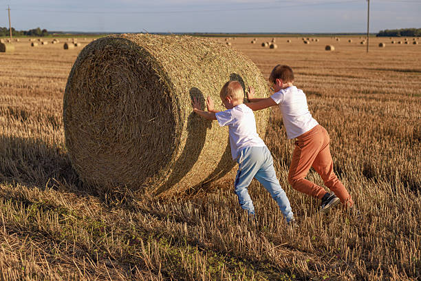 In a scene of pure joy and inclusivity, a sibling and their younger brothers playfully engage on the haystacks, celebrating the beauty of family and rural togetherness