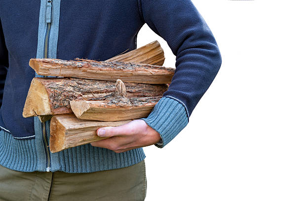 Man carrying firewood logs in autumn isolated on white background