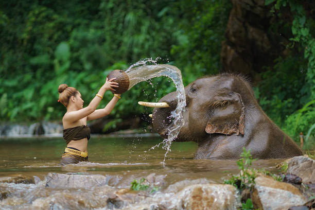 istock Happy female bathing elephant by the river. 2239905140