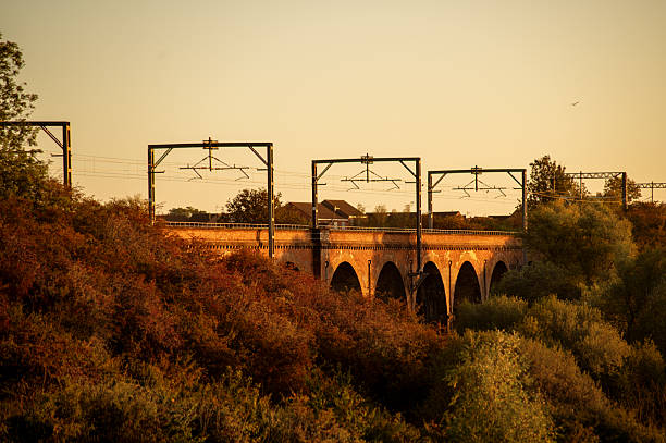 A historic railway viaduct surrounded by autumn trees and warm evening light in England.