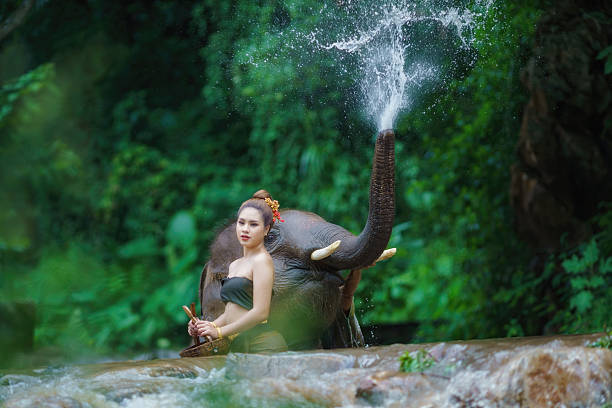 istock Happy female bathing elephant by the river. 2239908967