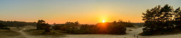 Autumn sunset landscape at the Veluwe sand dunes of the Huslhorsterzand sand flats in Gelderland, The Netherlands