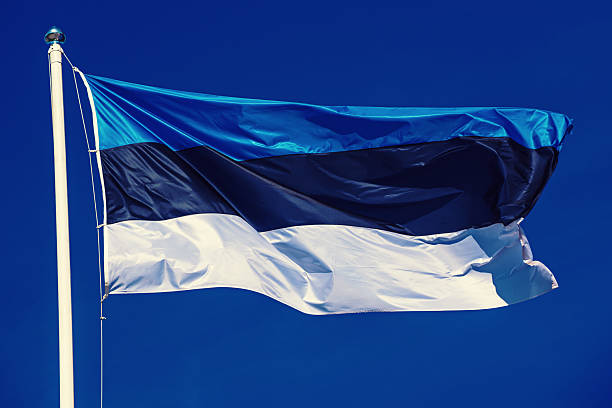 istock Flag of Estonia 2239909111
