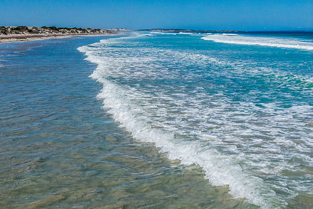 Drone view over water: remote South Australian west coast beach near Point Bell, looking east on a relatively calm day. The distant sand dunes have sparse vegetation. Seemingly endless lines of small but relentless Southern /Antarctic Ocean waves roll onto the beach. Clear, transparent water: no algal bloom here on this wild, pristine coast.