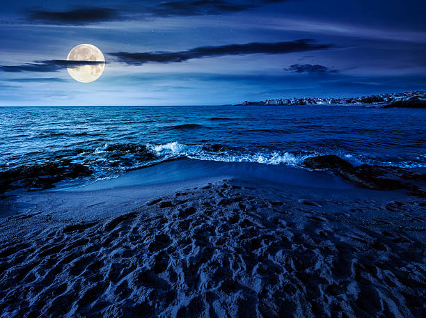 istock sunrise on a sandy town beach in mellow season at night 2239909620