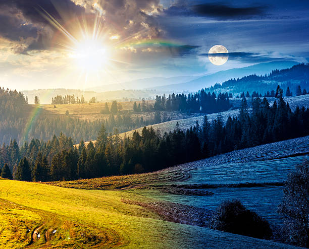 istock forest on grassy hill on autumn equinox 2239910146