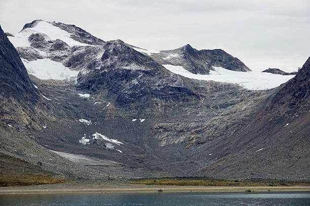 istock Sailing to East-Greenland 2239910863