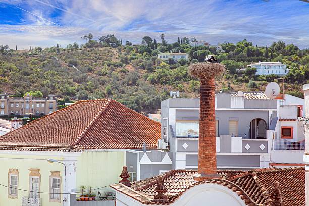 White stork on a nest on an old chimney above tiled roofs and green hill in Silves Algarve Portugal.