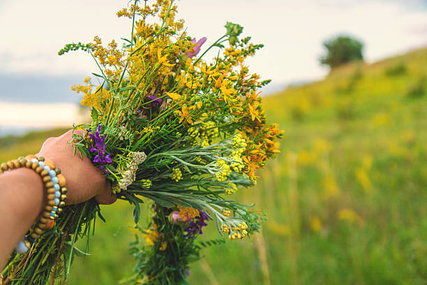 Woman in a meadow with medicinal herbs. Selective focus. Nature.