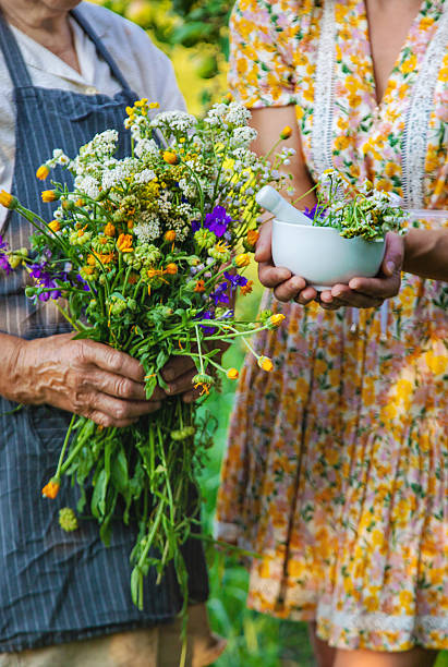 istock Woman with medicinal herbs in a meadow. Selective focus. 2239914534