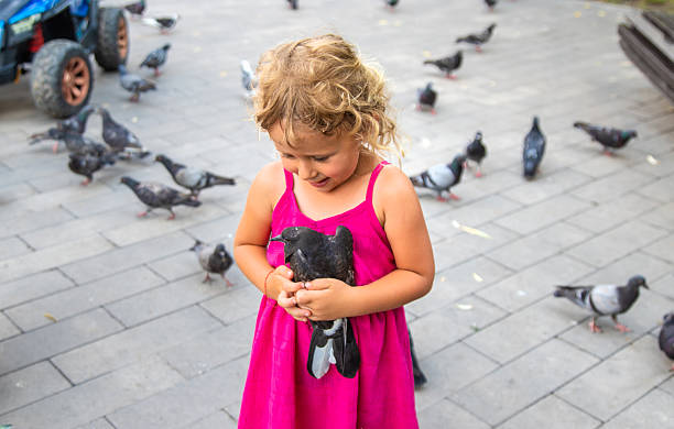 A child chases pigeons in a park. Selective focus. Kid.