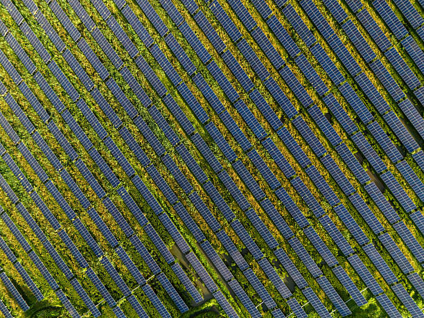istock Solar power station at sunrise 2239917388