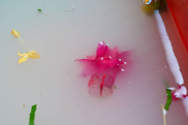 Young beautiful woman taking a bath with flowers