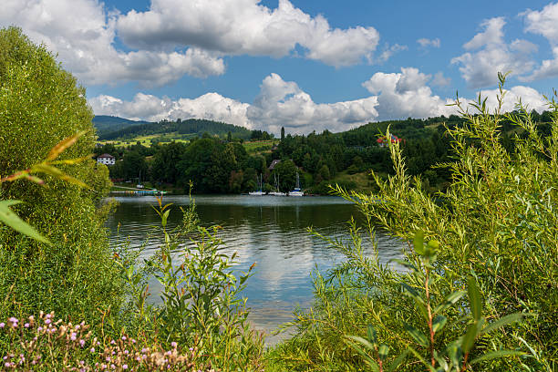 White yachts rest quietly at a dock beside green forest and calm lake. The scene conveys peaceful leisure, water sport, and eco-friendly travel in summer holiday atmosphere.
