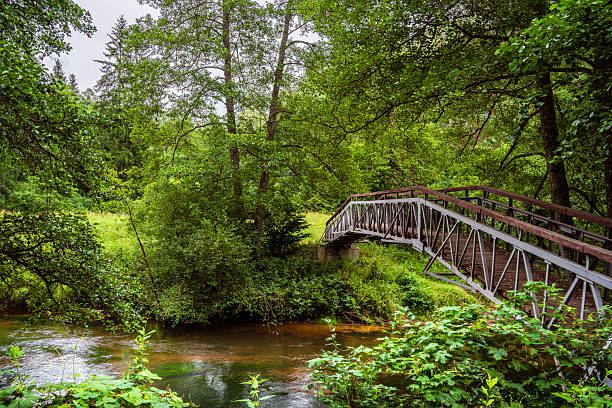 istock Dzukija National Park Landmarks, Lithuania 2239923643