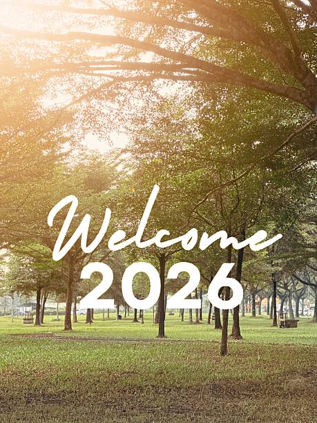 A tranquil park bathed in golden sunlight, with tall trees and lush grass. Bold white text reads \