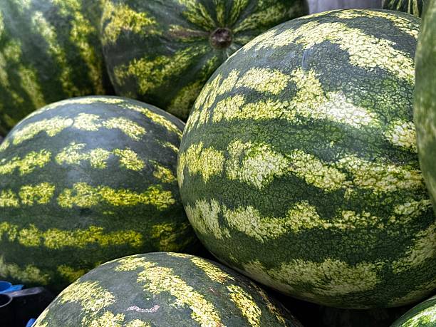 istock Fresh Watermelons Stacked in a Grocery Store 2239925930