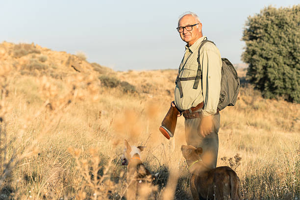 Senior man hunting with his dogs and shotgun in a dry field during golden hour