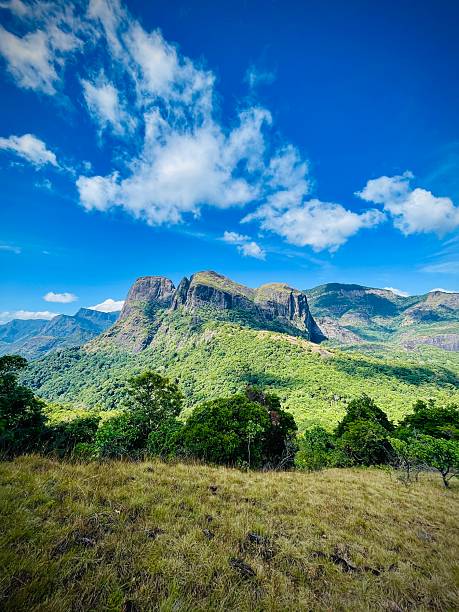 istock Guardians of the Verdant Peaks 2239930109