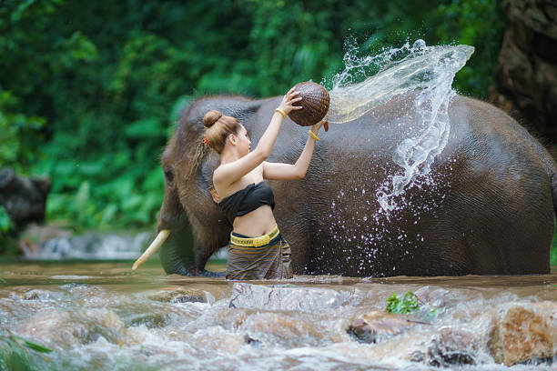 istock Happy female bathing elephant by the river. 2239930688