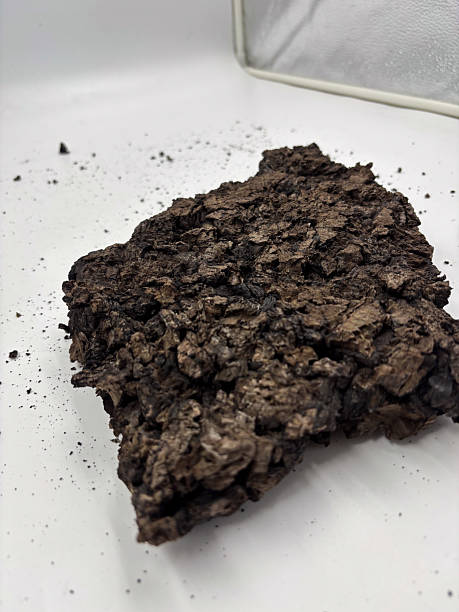 istock Flat Piece of Cork Bark on White Surface 2239933894