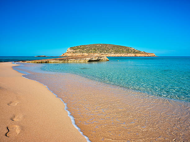 View of Platja de Ponent, one of the most beautiful beaches of Platges de Comte (also known as Cala Comte or Cala Conta), a group of scenic sandy shores located on the western coast of Ibiza. The dazzling, warm light of a Mediterranean morning, a perfectly clear sky, golden sands, transparent waters marbled with Posidonia meadows, the gentle splashing of the waves on the shore. The islet of Illa des Bosc, which forms part of the protected area of Reserves Naturals dels Illots de Ponent (Nature Reserve of Western Islets), can be seen in the background. High level of detail, natural rendition, realistic feel. Developed from RAW.