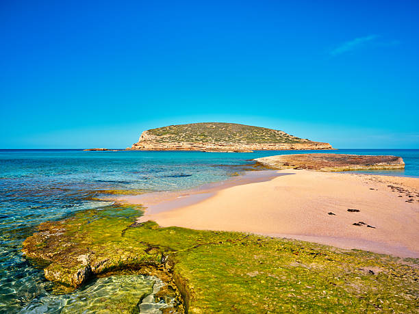 View of Platja de Ponent, one of the most beautiful beaches of Platges de Comte (also known as Cala Comte or Cala Conta), a group of scenic sandy shores located on the western coast of Ibiza. The dazzling, warm light of a Mediterranean morning, a perfectly clear sky, golden sands, transparent waters marbled with Posidonia meadows, the gentle splashing of the waves on the shore. The islet of Illa des Bosc, which forms part of the protected area of Reserves Naturals dels Illots de Ponent (Nature Reserve of Western Islets), can be seen in the background. High level of detail, natural rendition, realistic feel. Developed from RAW.