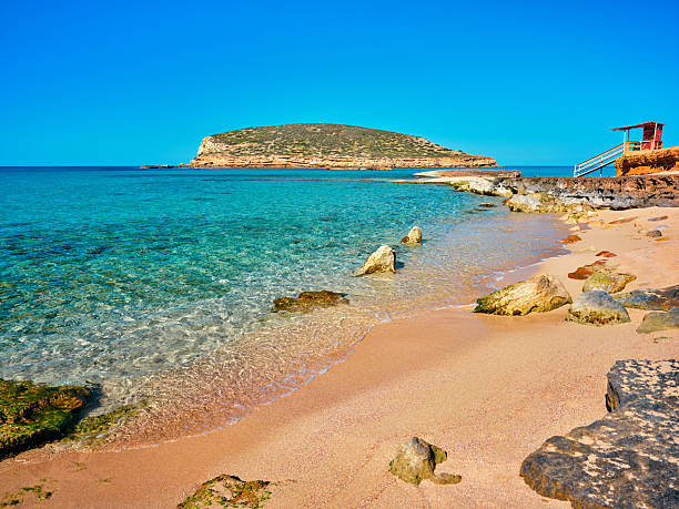 View of Platja de Ponent, one of the most beautiful beaches of Platges de Comte (also known as Cala Comte or Cala Conta), a group of scenic sandy shores located on the western coast of Ibiza. The dazzling, warm light of a Mediterranean morning, a perfectly clear sky, golden sands, transparent waters marbled with Posidonia meadows, the gentle splashing of the waves on the shore. The islet of Illa des Bosc, which forms part of the protected area of Reserves Naturals dels Illots de Ponent (Nature Reserve of Western Islets), can be seen in the background. High level of detail, natural rendition, realistic feel. Developed from RAW.